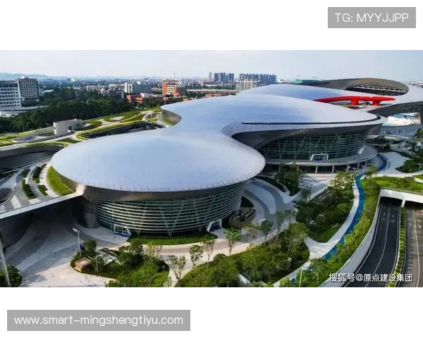 如何利用湾区鸟巢德胜体育中心提升个人运动技能与健康水平